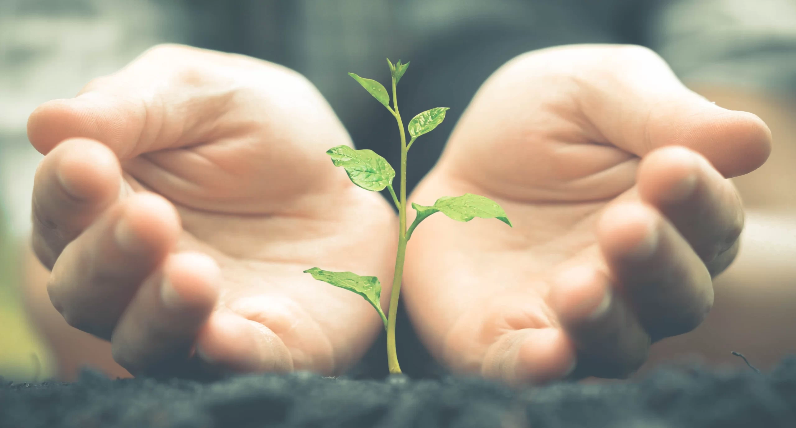 Toimintaterapia Oulu